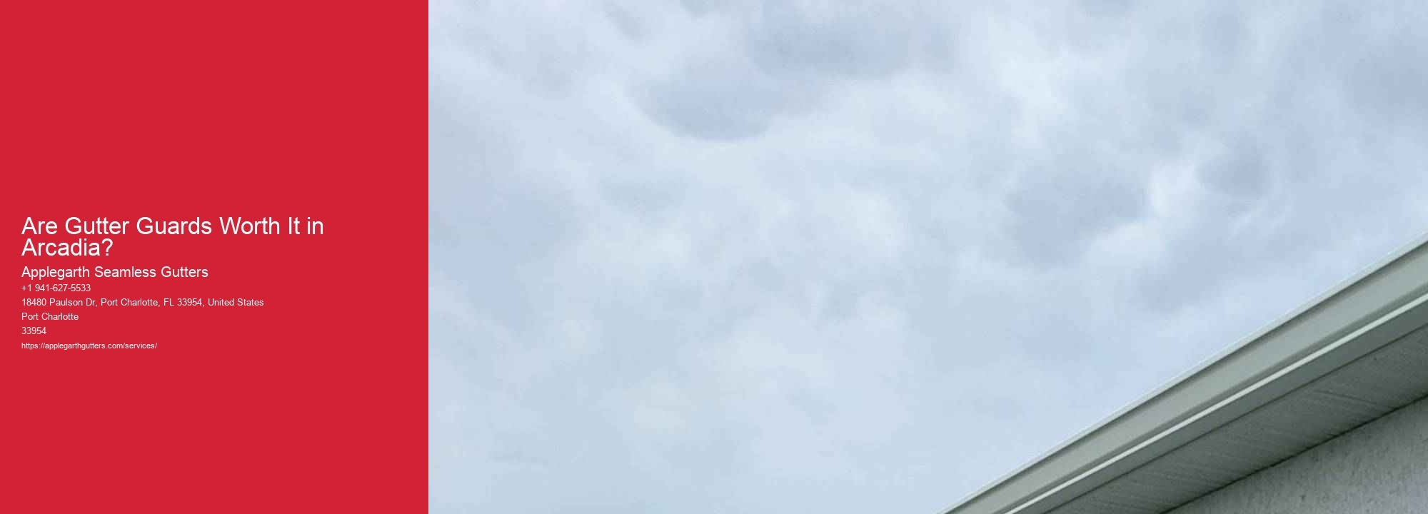 Are Gutter Guards Worth It in Arcadia?