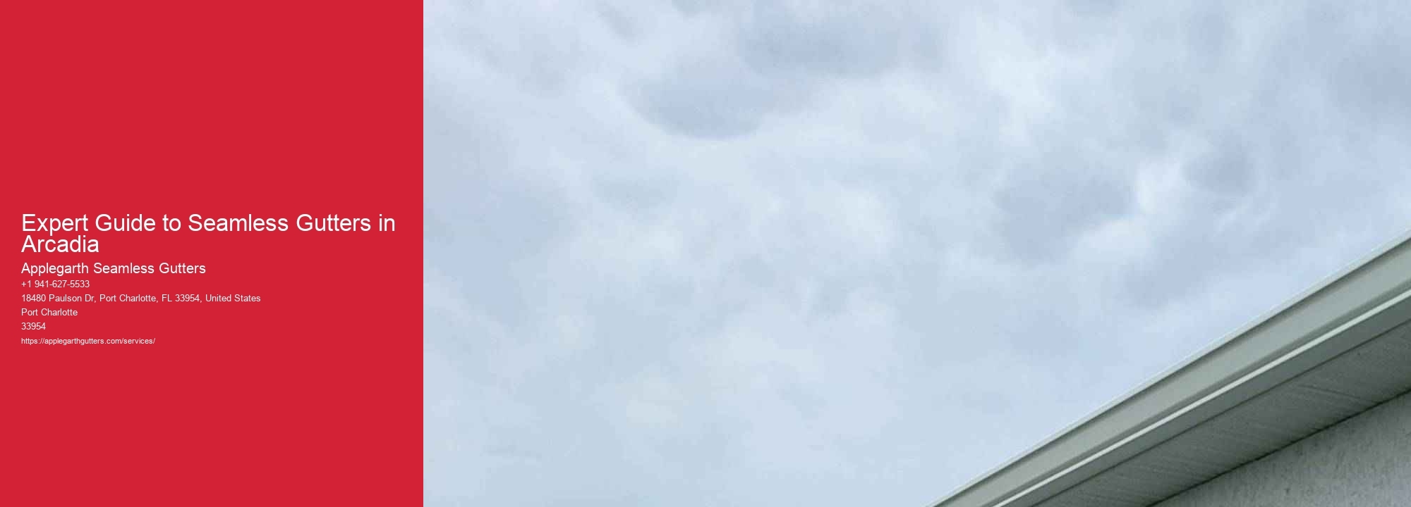 Expert Guide to Seamless Gutters in Arcadia